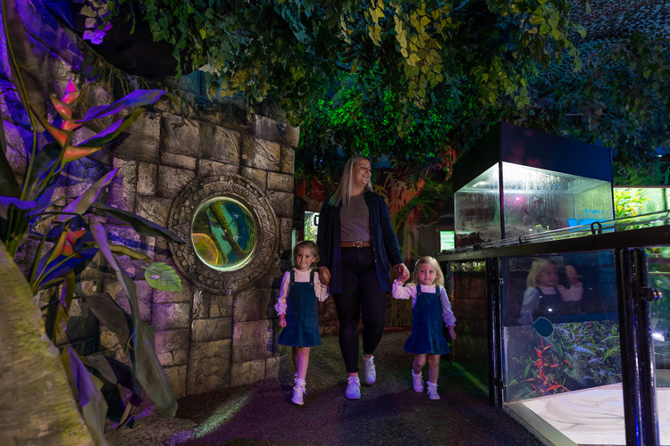Best online prices for admission tickets National SEA LIFE Centre Birmingham Book your