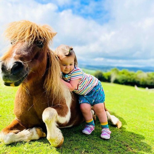 Pennywell Farm Tickets Devon Family Attraction Best Price Tickets