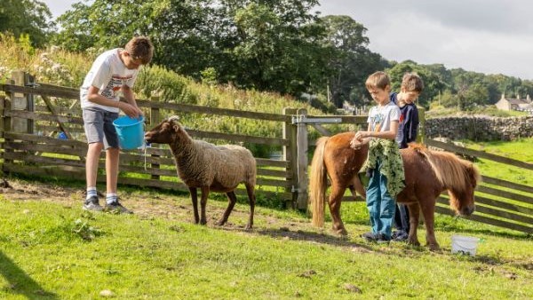 Cow Tickent R Wensleydale Cow Experience Tickets - Free £5 Voucher