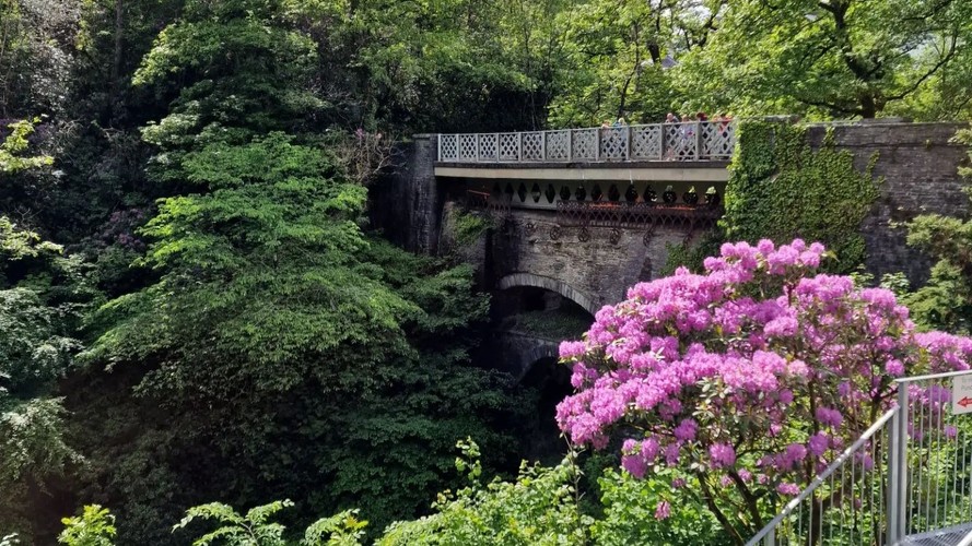 Devil's Bridge Falls Aberystwyth - Under 5's go FREE
