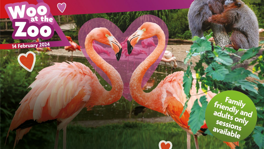 western plains zoo valentines day