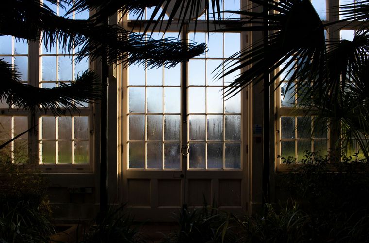 Greenhouse windows surrounded by plants