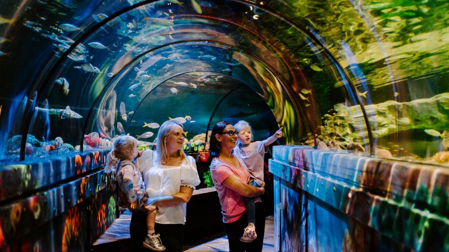 sea-life-brighton-20-discount-tickets-free-5-voucher-with-purchase