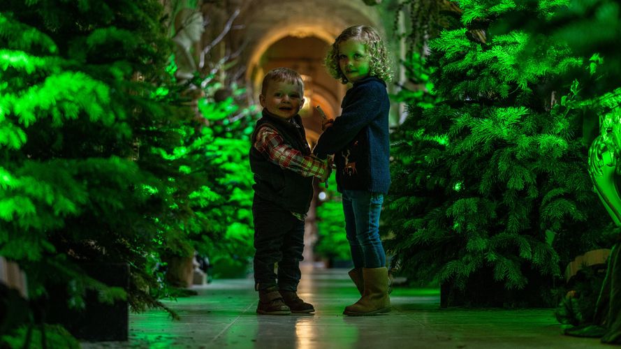 Book Christmas Castle Howard Tickets in York