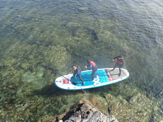 Best ticket prices for Giant Stand Up Paddle Boarding, Ayrshire, South