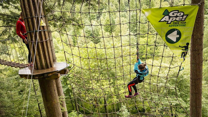 Go Ape Treetop Adventure Plus - Go Ape Lake District