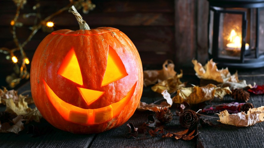 Dreamery Gardens Tickets £15 Kids Halloween Events York