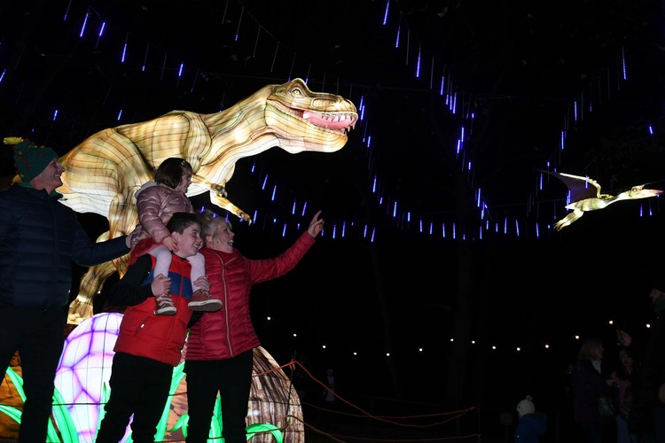 Discount Winter Illumination Tickets Light & Lantern Festival