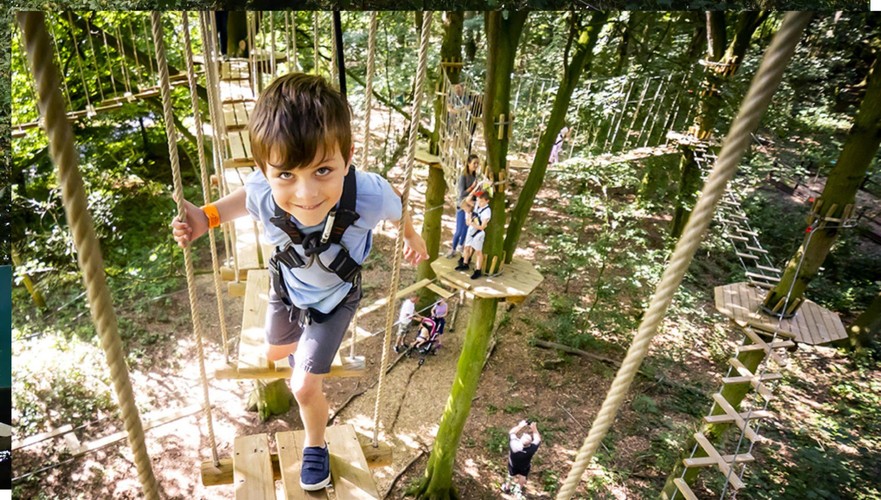 Go Ape Slough Treetop Adventure Tickets Family Activities