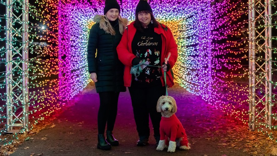 Enlightened Early Bird Tickets Chelmsford Christmas Light Trail 2024