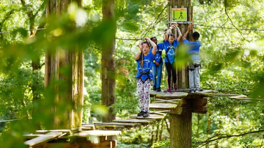 Go Ape Alexandra Palace Tickets - High Ropes near London