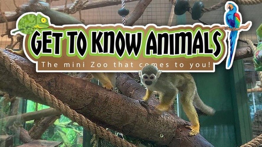 Get To Know Animals Tickets Mini Zoo Epping