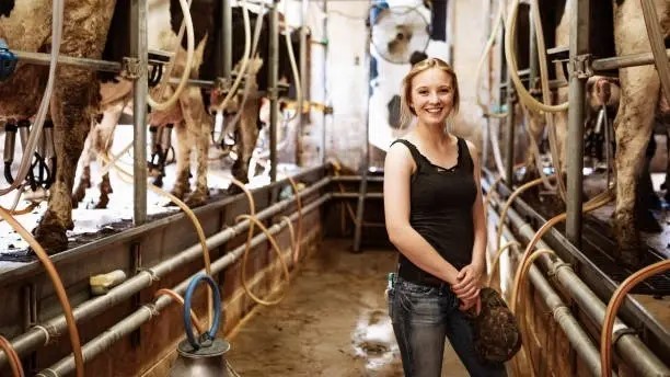 Cow Tickent R Jigsaw Farm Cow Experience Tickets - Free £5 Voucher