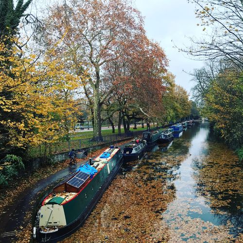 Canal covered in autumn leaves with barge boats