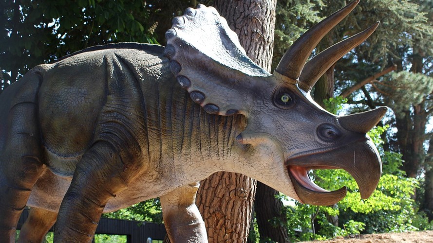 Colchester Zoo Tickets Essex Zoo 10 Off Tickets!