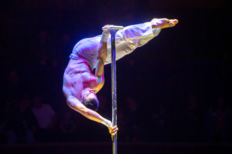Blackpool Tower Circus Tickets - 20% Discount Exclusive!