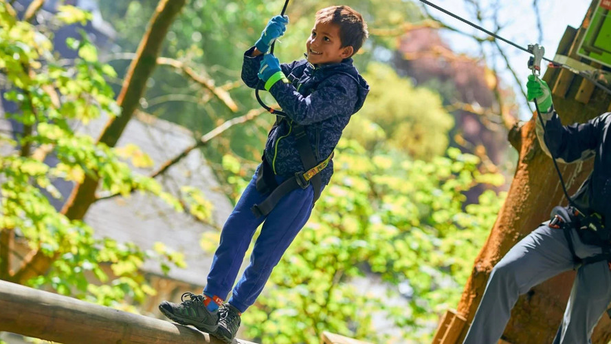 Go Ape Cannock Chase Treetop Adventure High Ropes Near Me