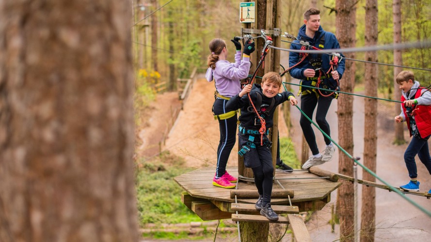 Treetop Adventure Plus Go Ape - Outdoor Activities in Essex