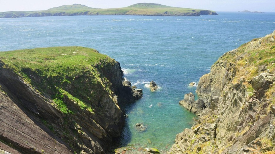 Skomer Island Boat Experience