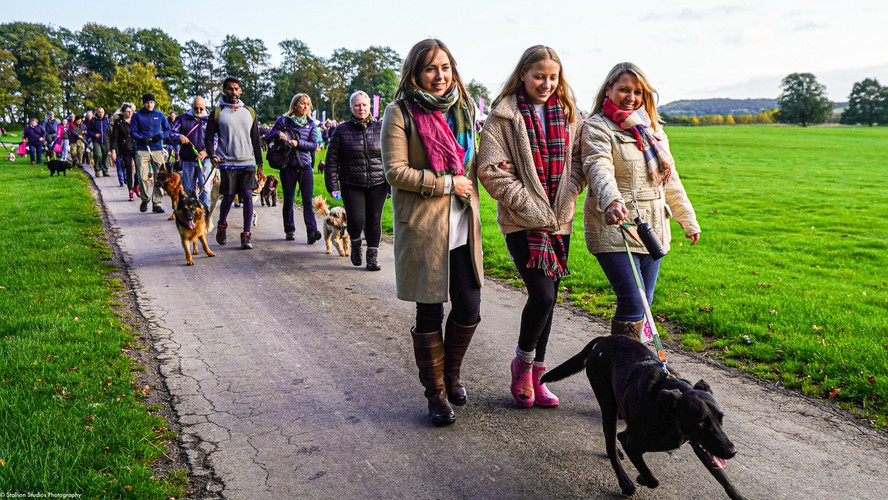 dog-festival-tickets-dog-events-near-me