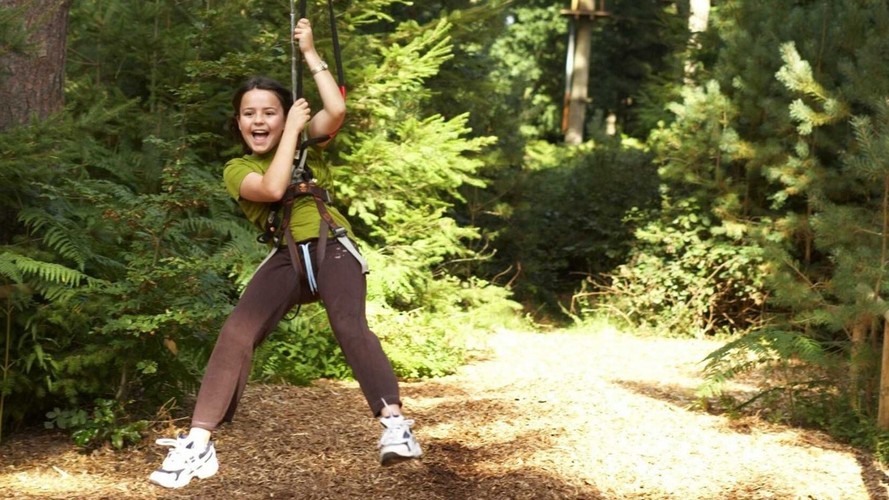 Go Ape Delamere Forest - Treetop Adventure Experience