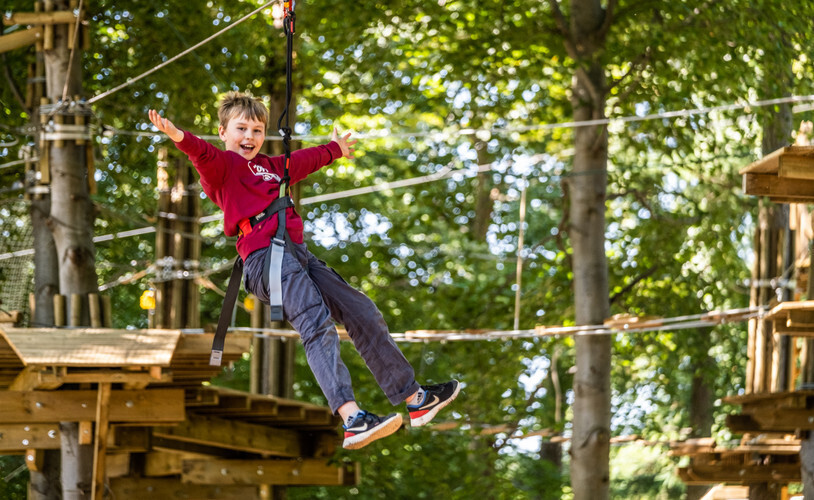 Go Ape Near Me - Treetop Adventure Plus Go Ape