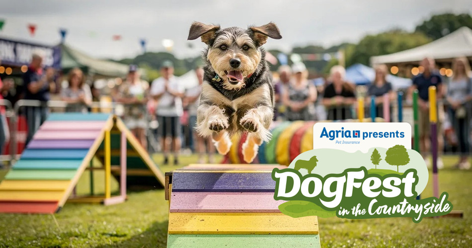 DogFest Tatton Park Tickets - DogFest in the Countryside Tickets